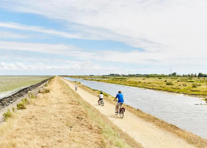 800m De La Plage, Jolie Maison Pour 6 Avec Jardin Barbâtre